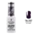 062 Black Tulip