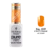 019 Perfect Orange